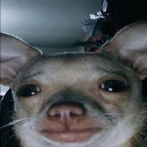 Meet your Posher, Rosa